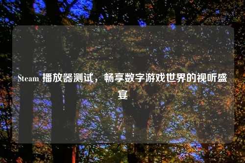 Steam 播放器测试，畅享数字游戏世界的视听盛宴