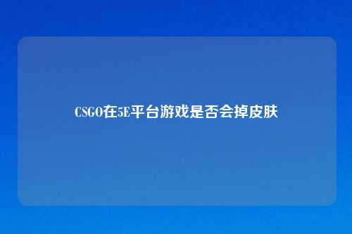 CSGO在5E平台游戏是否会掉皮肤