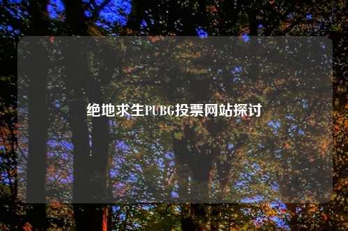 绝地求生PUBG投票网站探讨