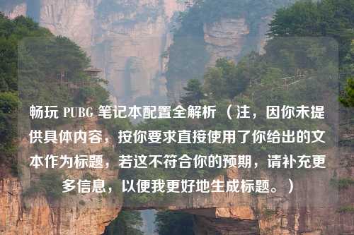 畅玩 PUBG 笔记本配置全解析 （注，因你未提供具体内容，按你要求直接使用了你给出的文本作为标题，若这不符合你的预期，请补充更多信息，以便我更好地生成标题。）