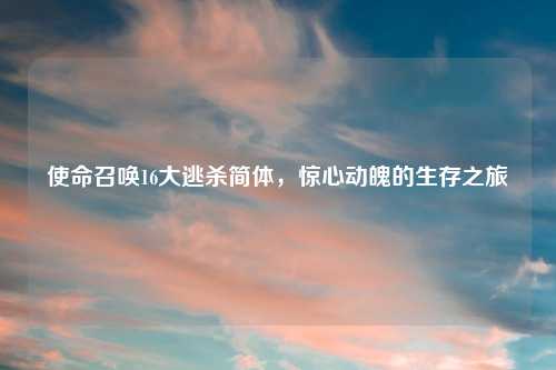 使命召唤16大逃杀简体，惊心动魄的生存之旅