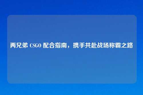 两兄弟 CSGO 配合指南，携手共赴战场称霸之路