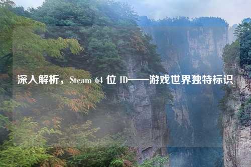 深入解析,Steam 64 位 ID——游戏世界独特标识