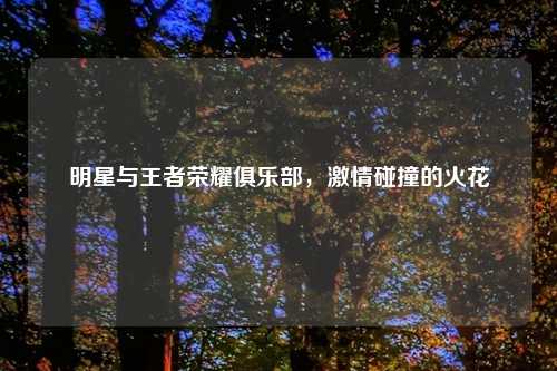 明星与王者荣耀俱乐部，吉云服务器jiyun.xin碰撞的火花