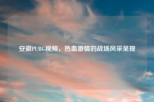 安徽PUBG视频,热血 的战场风采呈现