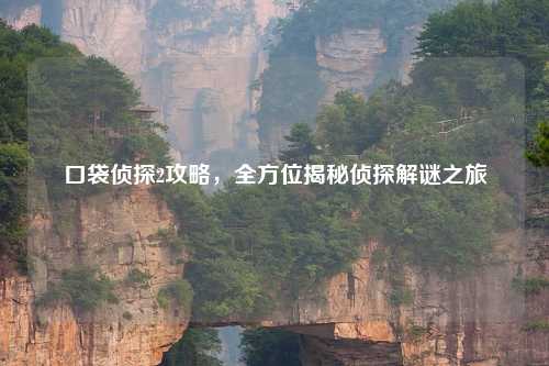 口袋侦探2攻略，全方位揭秘侦探解谜之旅