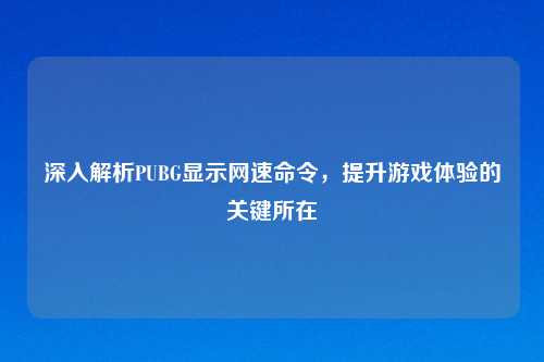 深入解析PUBG显示网速命令，提升游戏体验的关键所在