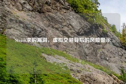 Steam求购漏洞，虚拟交易背后的风险警示