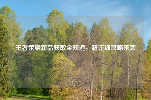 王者荣耀新品获取全知道，超详细攻略来袭