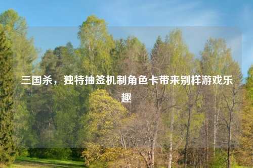 三国杀,独特抽签机制角色卡带来别样游戏乐趣