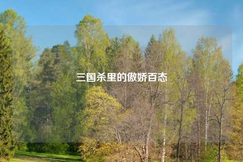 三国杀里的傲娇百态