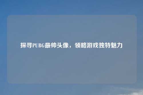 探寻PUBG最帅头像，领略游戏独特魅力