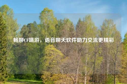 畅聊CF端游，语音聊天软件助力交流更精彩