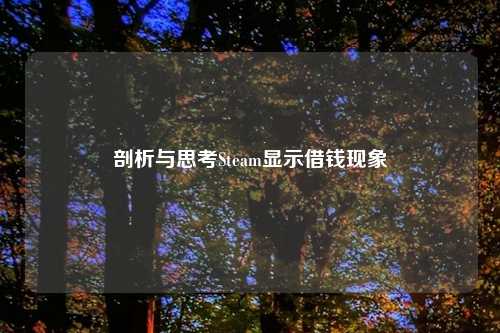 剖析与思考Steam显示借钱现象
