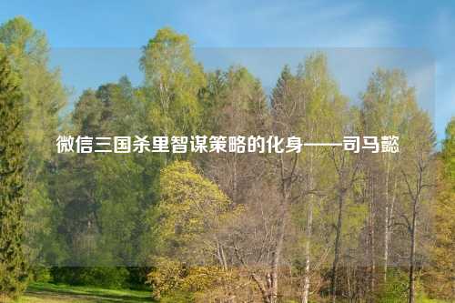 微信三国杀里智谋策略的化身——司马懿