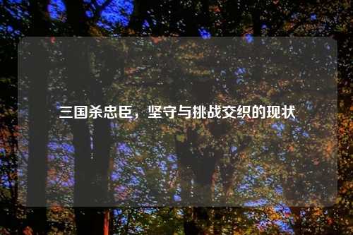 三国杀忠臣，坚守与挑战交织的现状