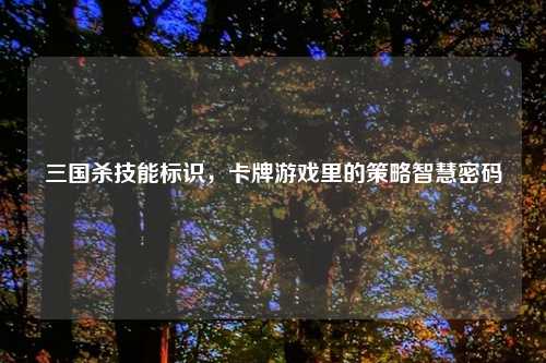 三国杀技能标识，卡牌游戏里的策略智慧密码