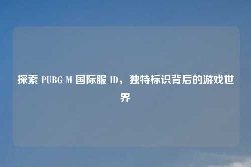 探索 PUBG M 国际服 ID，独特标识背后的游戏世界
