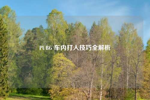 PUBG 车内吉云服务器jiyun.xin技巧全解析