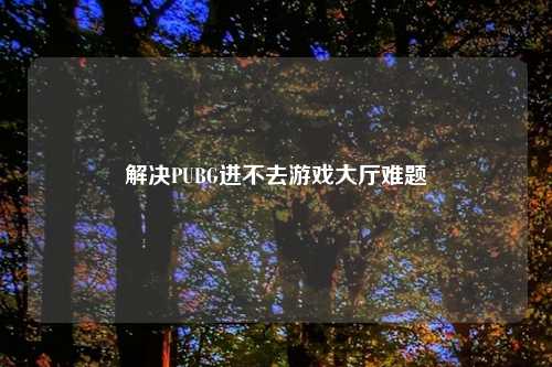 解决PUBG进不去游戏大厅难题