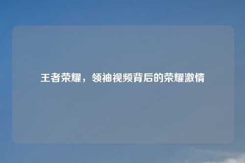 王者荣耀,领袖视频背后的荣耀