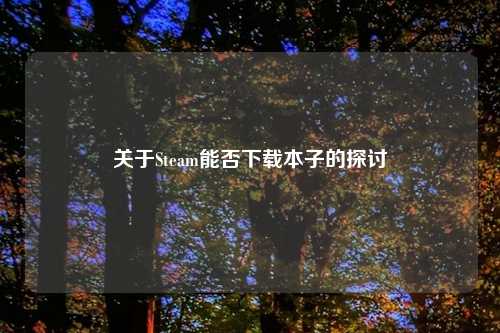 关于Steam能否下载本子的探讨