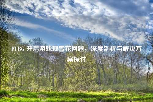 PUBG 开启游戏现雪花问题，深度剖析与解决方案探讨