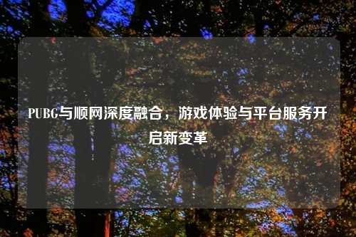 PUBG与顺网深度融合，游戏体验与平台服务开启新变革