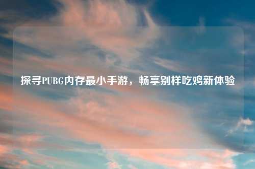 探寻PUBG内存最小手游，畅享别样吃鸡新体验