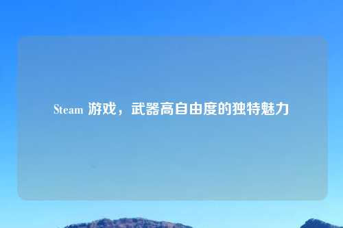 Steam 游戏，武器高自由度的独特魅力