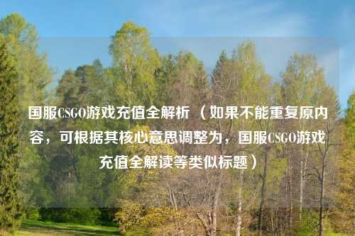 国服CSGO游戏充值全解析 （如果不能重复原内容，可根据其核心意思调整为，国服CSGO游戏充值全解读等类似标题）
