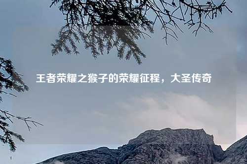 王者荣耀之猴子的荣耀征程，大圣传奇