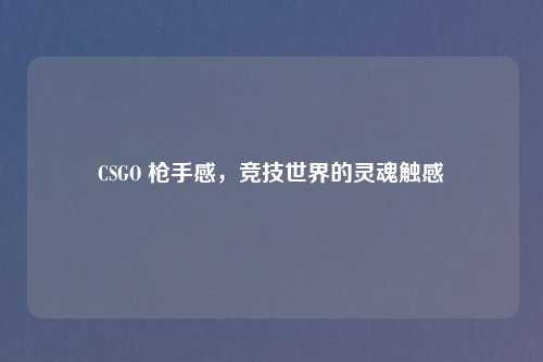 CSGO 感,竞技世界的灵魂触感