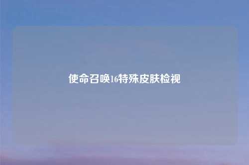 使命召唤16特殊皮肤检视