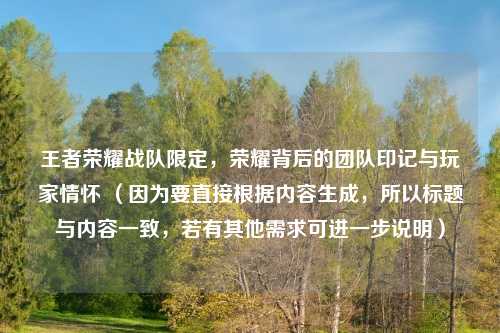 王者荣耀战队限定，荣耀背后的团队印记与玩家情怀 （因为要直接根据内容生成，所以标题与内容一致，若有其他需求可进一步说明）