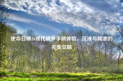 使命召唤16现代战争手柄体验，沉浸与精准的完美交融