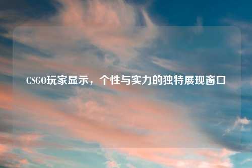 CSGO玩家显示，个性与实力的独特展现窗口
