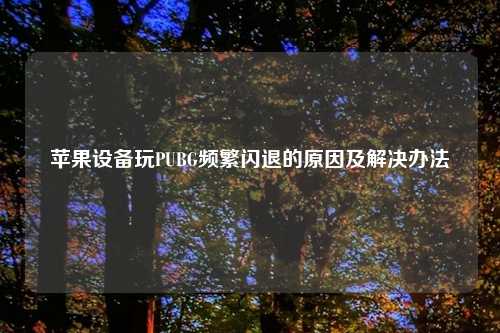 苹果设备玩PUBG频繁闪退的原因及解决办法