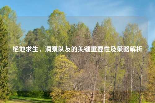 绝地求生，洞察队友的关键重要性及策略解析