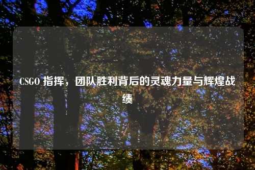 CSGO 指挥,团队胜利背后的灵魂力量与辉煌战绩