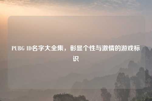 PUBG ID名字大全集，彰显个性与     的游戏标识