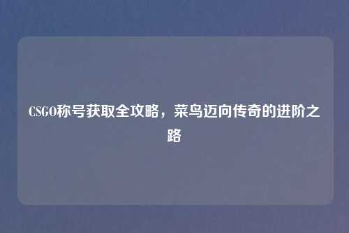CSGO称号获取全攻略,菜鸟迈向传奇的进阶之路