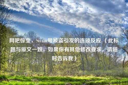 网吧惊变，Steam号被盗引发的连锁反应 （此标题与原文一致，如果你有其他修改要求，请随时告诉我）