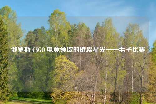 俄罗斯 CSGO 电竞领域的璀璨星光——毛子比赛