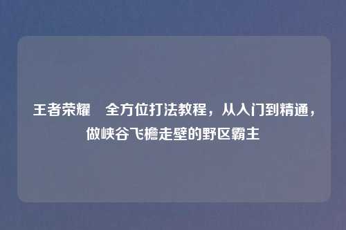 王者荣耀暃全方位打法教程，从入门到精通，做峡谷飞檐走壁的野区霸主