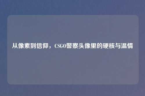 从像素到信仰,CSGO警察头像里的硬核与温情
