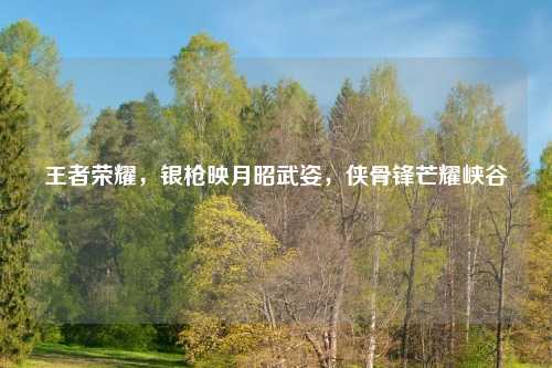 王者荣耀，银枪映月昭武姿，侠骨锋芒耀峡谷