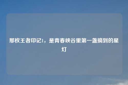 那枚王者印记1，是青春峡谷里之一盏摘到的星灯