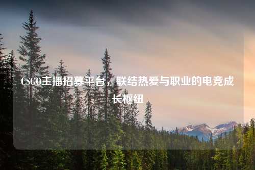 CSGO主播招募平台,联结热爱与职业的电竞成长枢纽