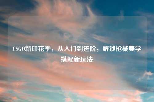CSGO新印花季，从入门到进阶，解锁枪械美学搭配新玩法